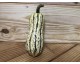 Courge "Delicata" ~ 0,5-0,6kg